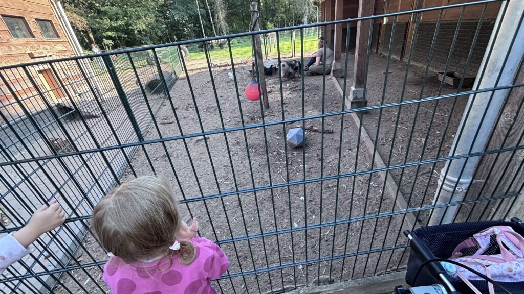 Erlebnisbauernhof Het Meerdal Center Parcs
